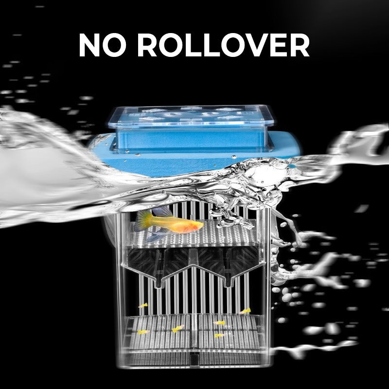 🐟💧 Promotion éclair à moitié prix ! Aquarium d'écloserie en acrylique 4 couches 🛡️ → Système de protection pour élever vos alevins en toute sécurité 🐠✨