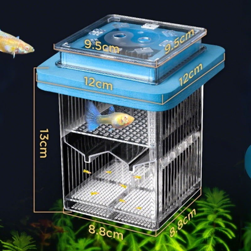 🐟💧 Promotion éclair à moitié prix ! Aquarium d'écloserie en acrylique 4 couches 🛡️ → Système de protection pour élever vos alevins en toute sécurité 🐠✨