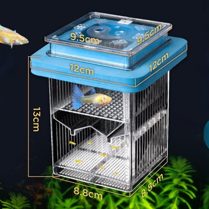 🐟💧 Promotion éclair à moitié prix ! Aquarium d'écloserie en acrylique 4 couches 🛡️ → Système de protection pour élever vos alevins en toute sécurité 🐠✨
