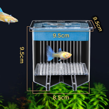 🐟💧 Promotion éclair à moitié prix ! Aquarium d'écloserie en acrylique 4 couches 🛡️ → Système de protection pour élever vos alevins en toute sécurité 🐠✨