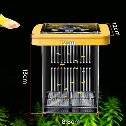 🐟💧 Promotion éclair à moitié prix ! Aquarium d'écloserie en acrylique 4 couches 🛡️ → Système de protection pour élever vos alevins en toute sécurité 🐠✨