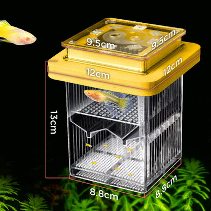 🐟💧 Promotion éclair à moitié prix ! Aquarium d'écloserie en acrylique 4 couches 🛡️ → Système de protection pour élever vos alevins en toute sécurité 🐠✨