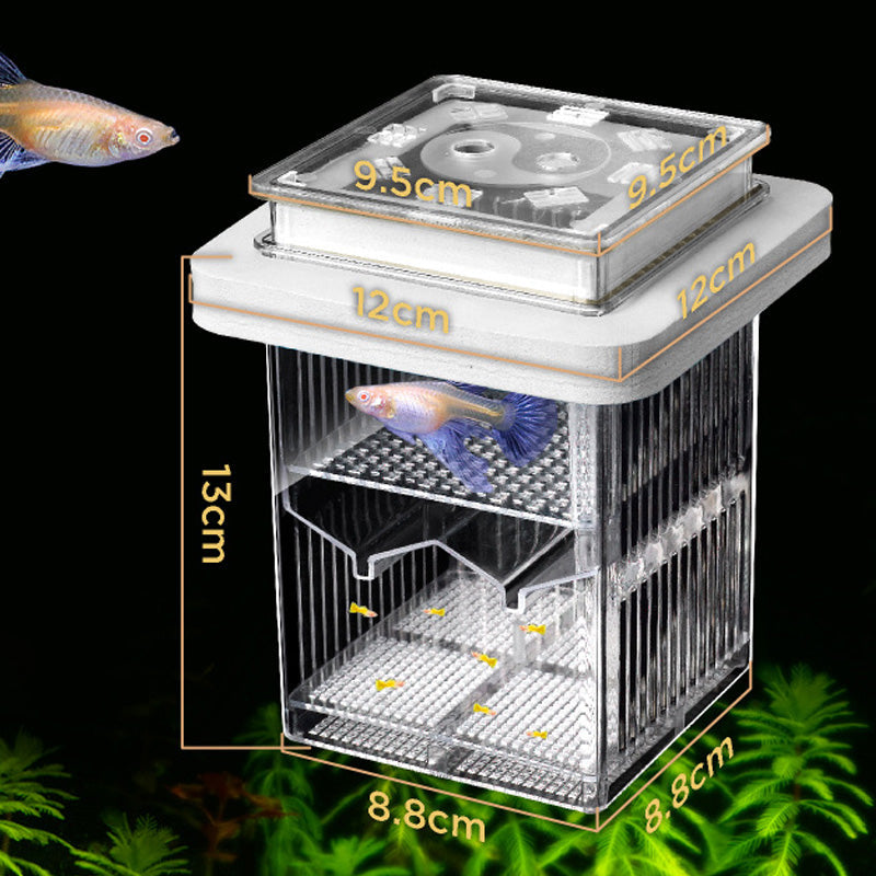 🐟💧 Promotion éclair à moitié prix ! Aquarium d'écloserie en acrylique 4 couches 🛡️ → Système de protection pour élever vos alevins en toute sécurité 🐠✨