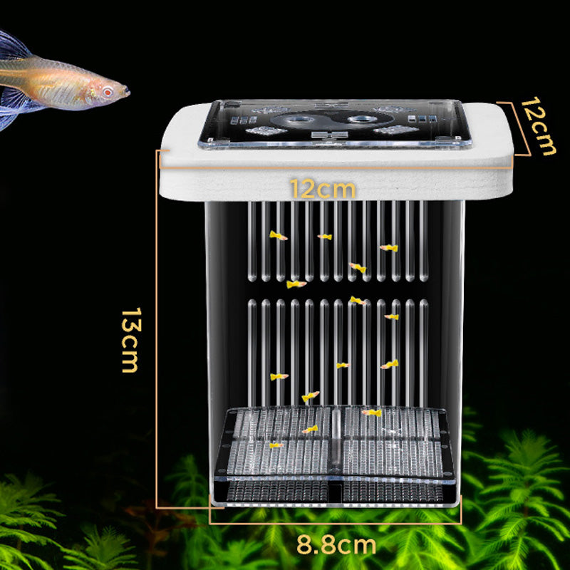 🐟💧 Promotion éclair à moitié prix ! Aquarium d'écloserie en acrylique 4 couches 🛡️ → Système de protection pour élever vos alevins en toute sécurité 🐠✨