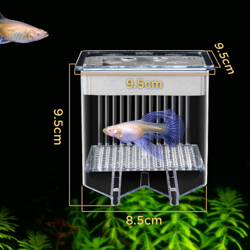 🐟💧 Promotion éclair à moitié prix ! Aquarium d'écloserie en acrylique 4 couches 🛡️ → Système de protection pour élever vos alevins en toute sécurité 🐠✨