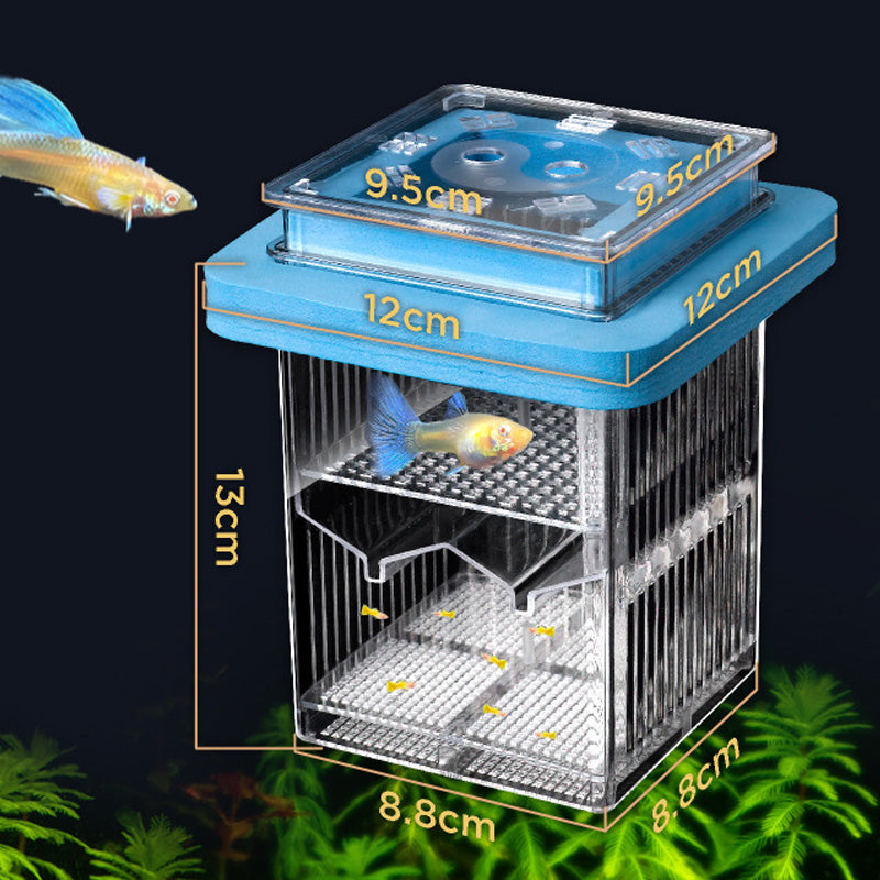 🐟💧 Promotion éclair à moitié prix ! Aquarium d'écloserie en acrylique 4 couches 🛡️ → Système de protection pour élever vos alevins en toute sécurité 🐠✨