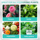 🔥Solution nutritive hydroponique pour la croissance des plantes☘️💦