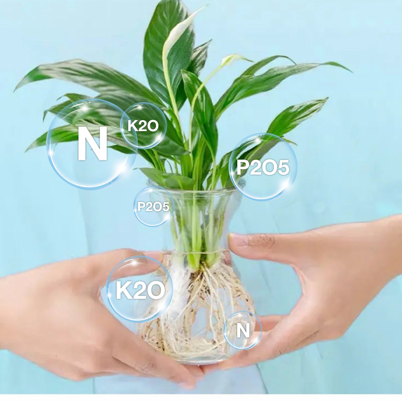 🔥Solution nutritive hydroponique pour la croissance des plantes☘️💦