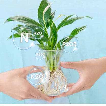 🔥Solution nutritive hydroponique pour la croissance des plantes☘️💦