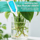 🔥Solution nutritive hydroponique pour la croissance des plantes☘️💦