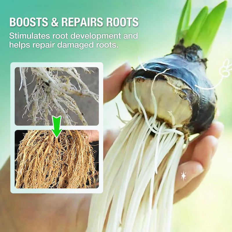 🔥Solution nutritive hydroponique pour la croissance des plantes☘️💦