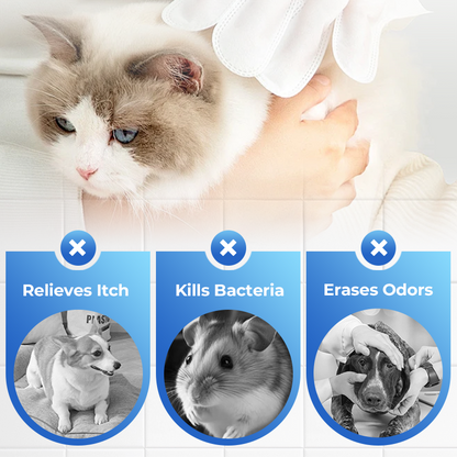 🔥HOT SALE 70% OFF🔥Pet No-Rinse Cleaning Scented Gloves