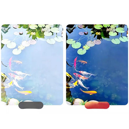 📸Objectif magnétique 2-en-1 avec filtre CPL & filtre étoile