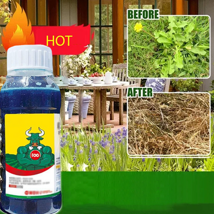 Désherbant Concentré Puissant