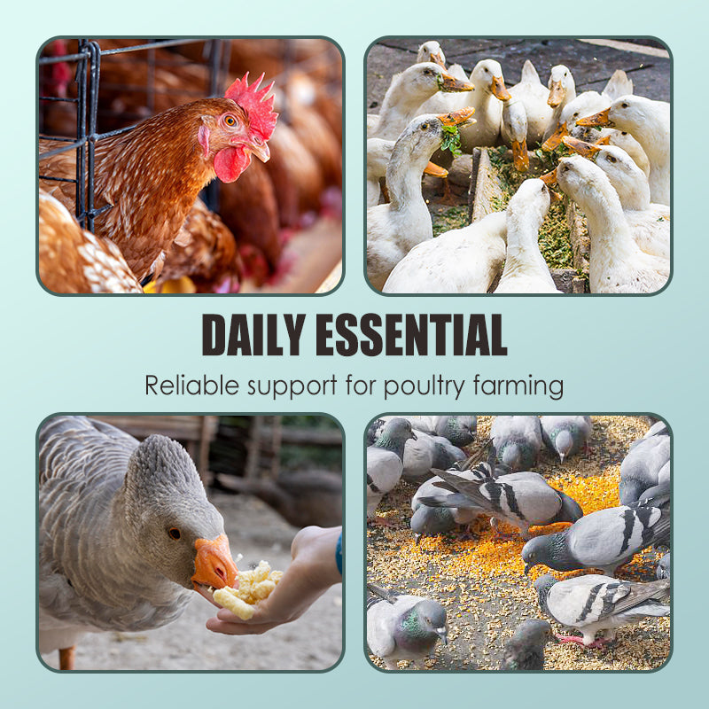 Additifs pour Alimentation Volaille