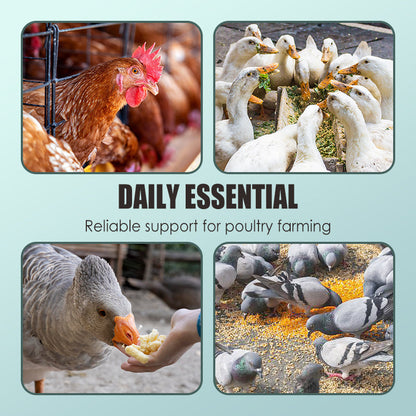 Additifs pour Alimentation Volaille