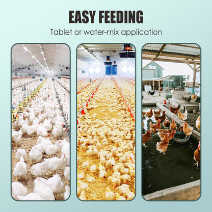 Additifs pour Alimentation Volaille