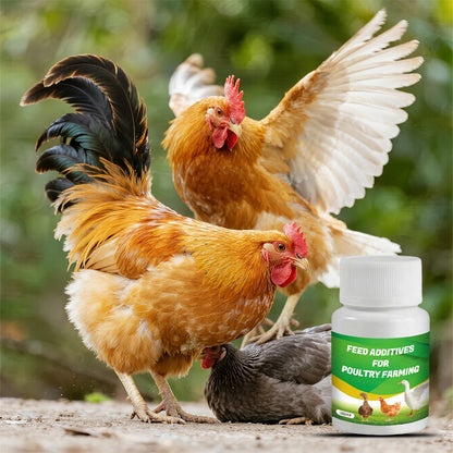 Additifs pour Alimentation Volaille