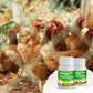 Additifs pour Alimentation Volaille