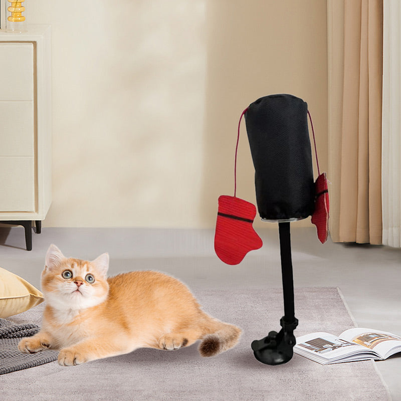 Jouet interactif pour chat : Sac de frappe😻🐾