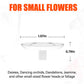 Support Créatif pour Composition Florale Flottante
