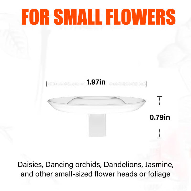 Support Créatif pour Composition Florale Flottante