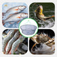 🎣Filet de pêche pliable portable avec corde