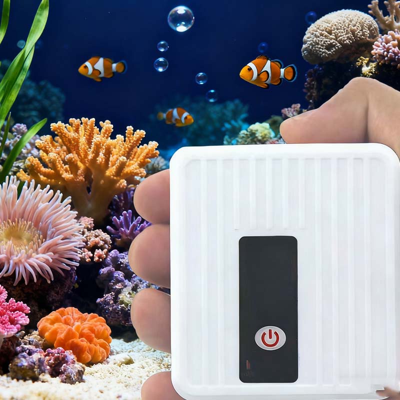 Pompe à Oxygène Compacte et Portable