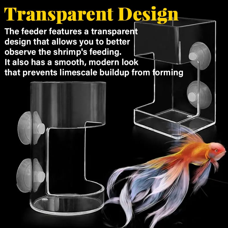 🐟Anneau et Plateau de Nourrissage pour Aquarium