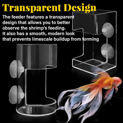 🐟Anneau et Plateau de Nourrissage pour Aquarium