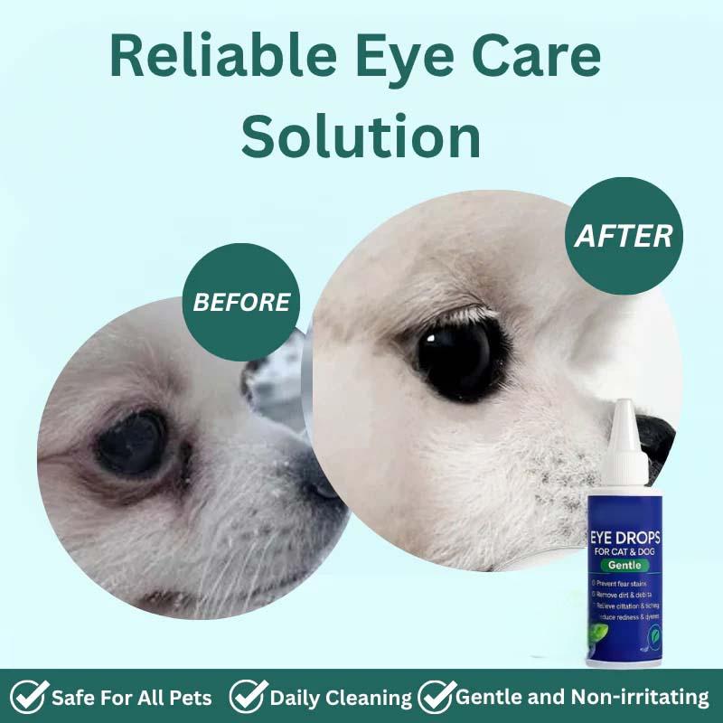 🐶🐱 Gouttes Oculaires pour Chiens et Chats 💧👁️