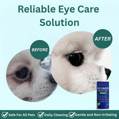 🐶🐱 Gouttes Oculaires pour Chiens et Chats 💧👁️