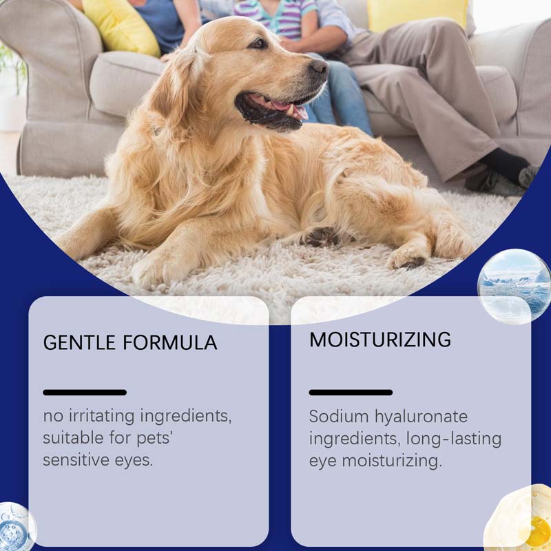 🐶🐱 Gouttes Oculaires pour Chiens et Chats 💧👁️