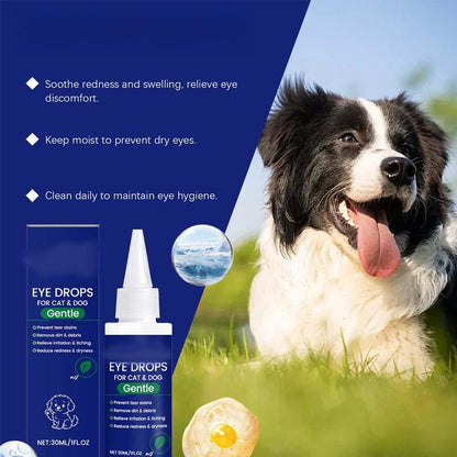 🐶🐱 Gouttes Oculaires pour Chiens et Chats 💧👁️