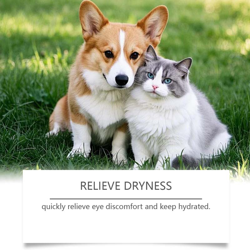 🐶🐱 Gouttes Oculaires pour Chiens et Chats 💧👁️