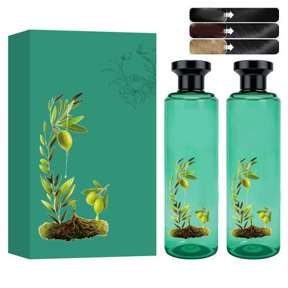🎄 Offre Spéciale de Noël ! 🎁 COLORATION BOTANIQUE - 98% d'Ingrédients d'Origine Naturelle, Couverture des Cheveux Blancs et Brillance Intense, Soin Végétal aux Huiles Essentielles 🌸🧴