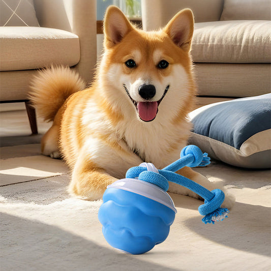 📢📢62 % de réduction !!!  💖🐾Balle Interactive Électronique Apaisante pour Animaux de Compagnie – Trois Modes, Évitement des Obstacles & Plus! 🐶💡
