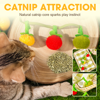 🐱 Plus de nuits tranquilles ! 💥Ficelle de jeu en forme de fruit pour fatiguer votre chat naturellement
