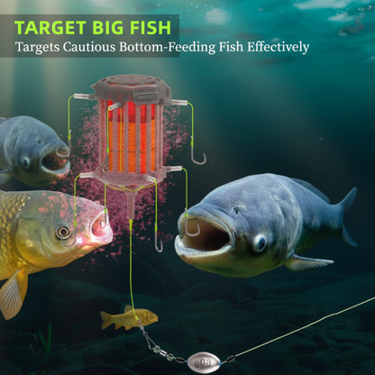 Reverse Bottom Bait Cage Hook Rig