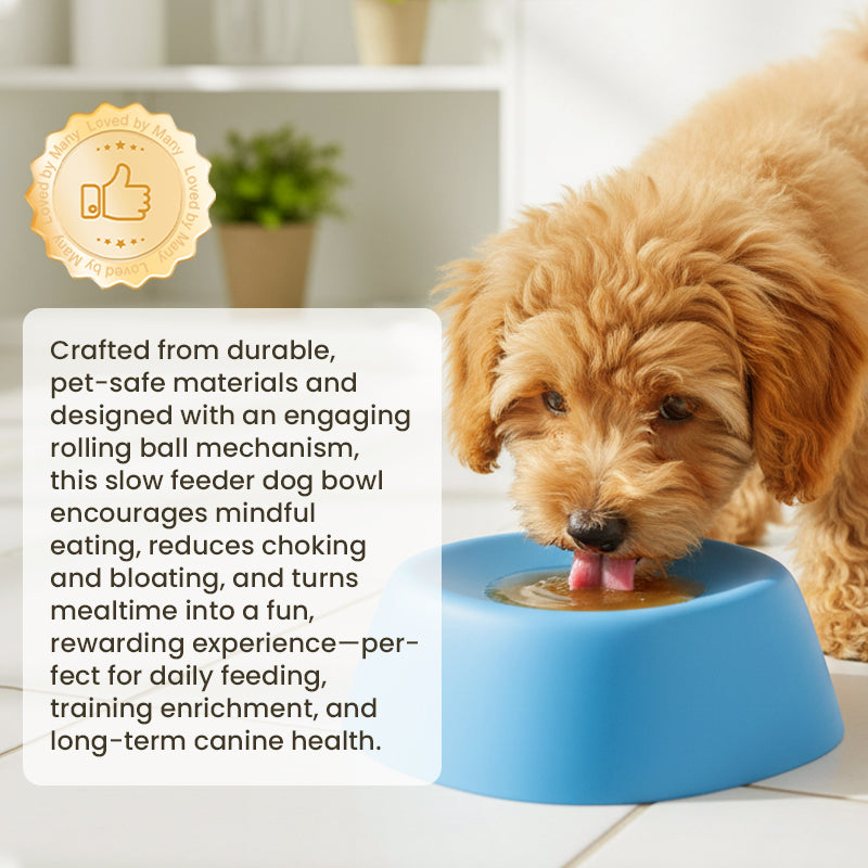 ⏳ Promotion limitée -50 % 🐶🦴 Bol Roll-N-Lick pour chien : le distributeur ultime de friandises liquides Bol anti-glouton pour chien avec balle rotative
