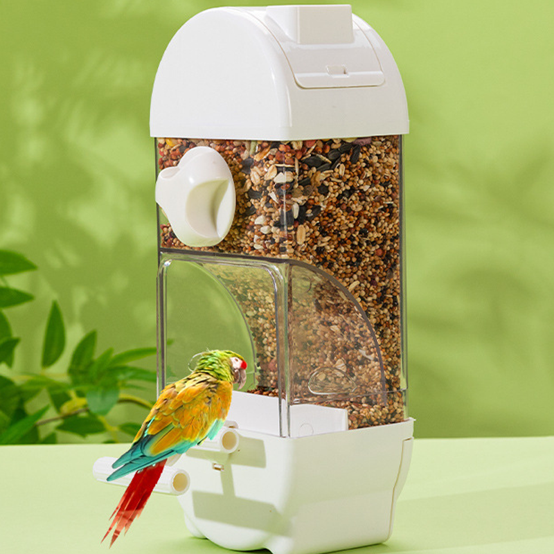 🐦 Mangeoire automatique pour oiseaux, grande capacité