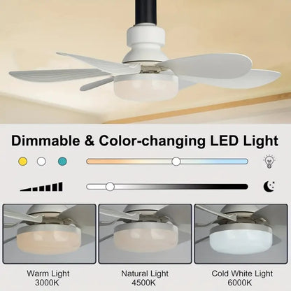 💨 54 % de réduction ! 💡 Ventilateur suspendu portable 2-en-1 avec télécommande — Idéal pour la chambre, le bureau et les voyages 🏠