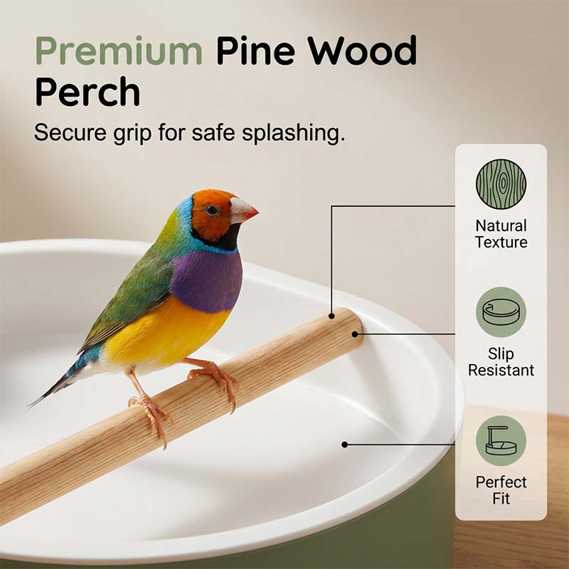 💐64% DE RÉDUCTION ! Bain d‘Oiseaux Électrique – Douche Pluie Rafraîchissante 🌧️🕊️【Offre Limitée】