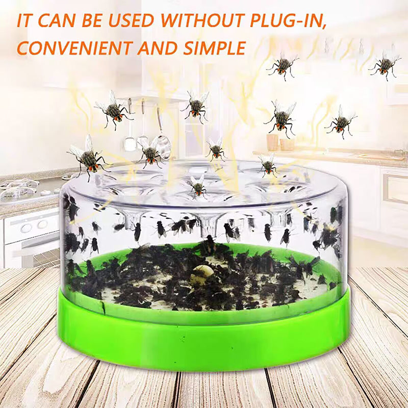 🪰 –50% Piège à Mouches – Entonnoir à Sens Unique – Sans Électricité, Sans Produits Chimiques – Sûr pour Enfants et Animaux 🏠