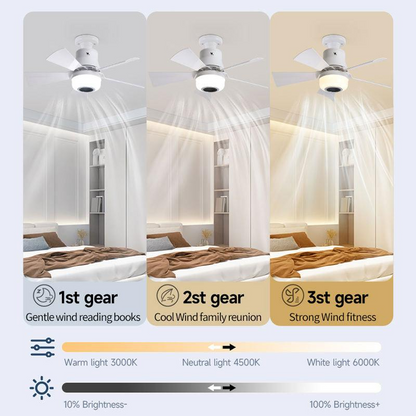 📢🌀 PROMO FLASH 50% ! Ventilateur de Plafond Intelligent 3-en-1 – Éclairage RGB/LED, Haut-parleur Bluetooth, 3 Vitesses, Télécommande, Culot E27, Pour Chambre & Salon 🎶