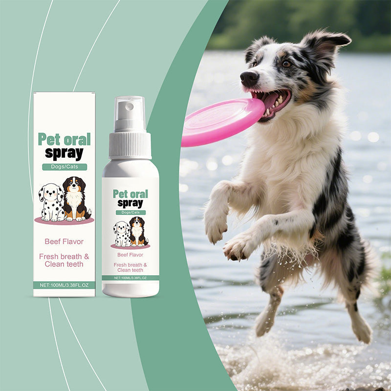 📢📢 Dernier jour – Prix spécial à 5,99 £ ! ‼️⏰🐶 Spray buccal doux pour animaux 🦷 | Haleine fraîche & anti-plaque 🐱