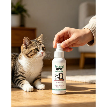 📢📢 Dernier jour – Prix spécial à 5,99 £ ! ‼️⏰🐶 Spray buccal doux pour animaux 🦷 | Haleine fraîche & anti-plaque 🐱