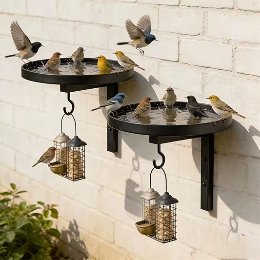 🐦🛁 PROMO -50% ! Bain d'Oiseau Mural Métal Fer Robuste – Double Fonction Bassin + Crochet Polyvalent, Anti-Rouille, Fixation Murale Gain de Place · Achetez-en 3 = Livraison Gratuite ✨