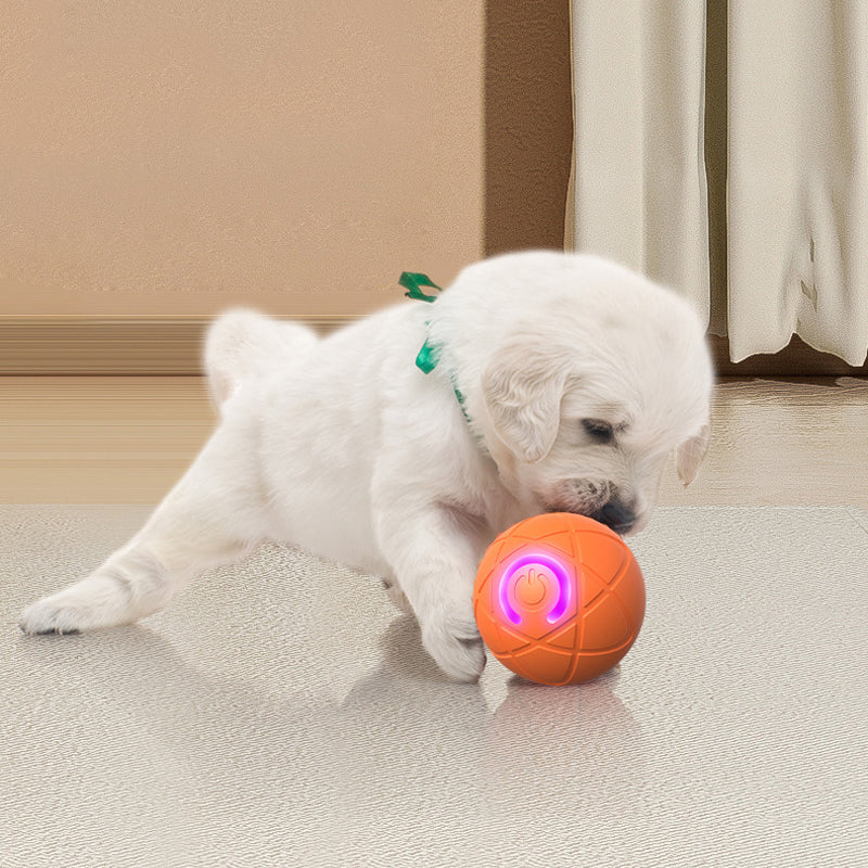 🐾 BALLE INTELLIGENTE POUR ANIMAUX DE COMPAGNIE À RÉBOND AUTOMATIQUE AVEC TÉLÉCOMMANDE — 3 modes interactifs | E-TPU résistant aux morsures | Rechargeable via USB-C 🎾