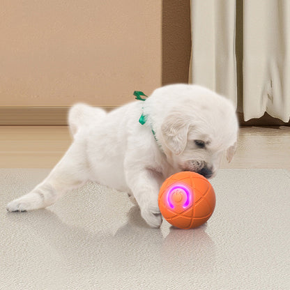 🐾 BALLE INTELLIGENTE POUR ANIMAUX DE COMPAGNIE À RÉBOND AUTOMATIQUE AVEC TÉLÉCOMMANDE — 3 modes interactifs | E-TPU résistant aux morsures | Rechargeable via USB-C 🎾